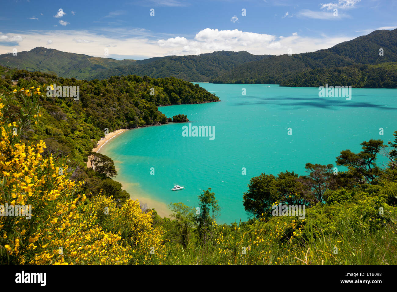 I governatori Bay, Queen Charlotte Sound, vicino a Picton Marlborough regione, Isola del Sud, Nuova Zelanda e Sud Pacifico Foto Stock