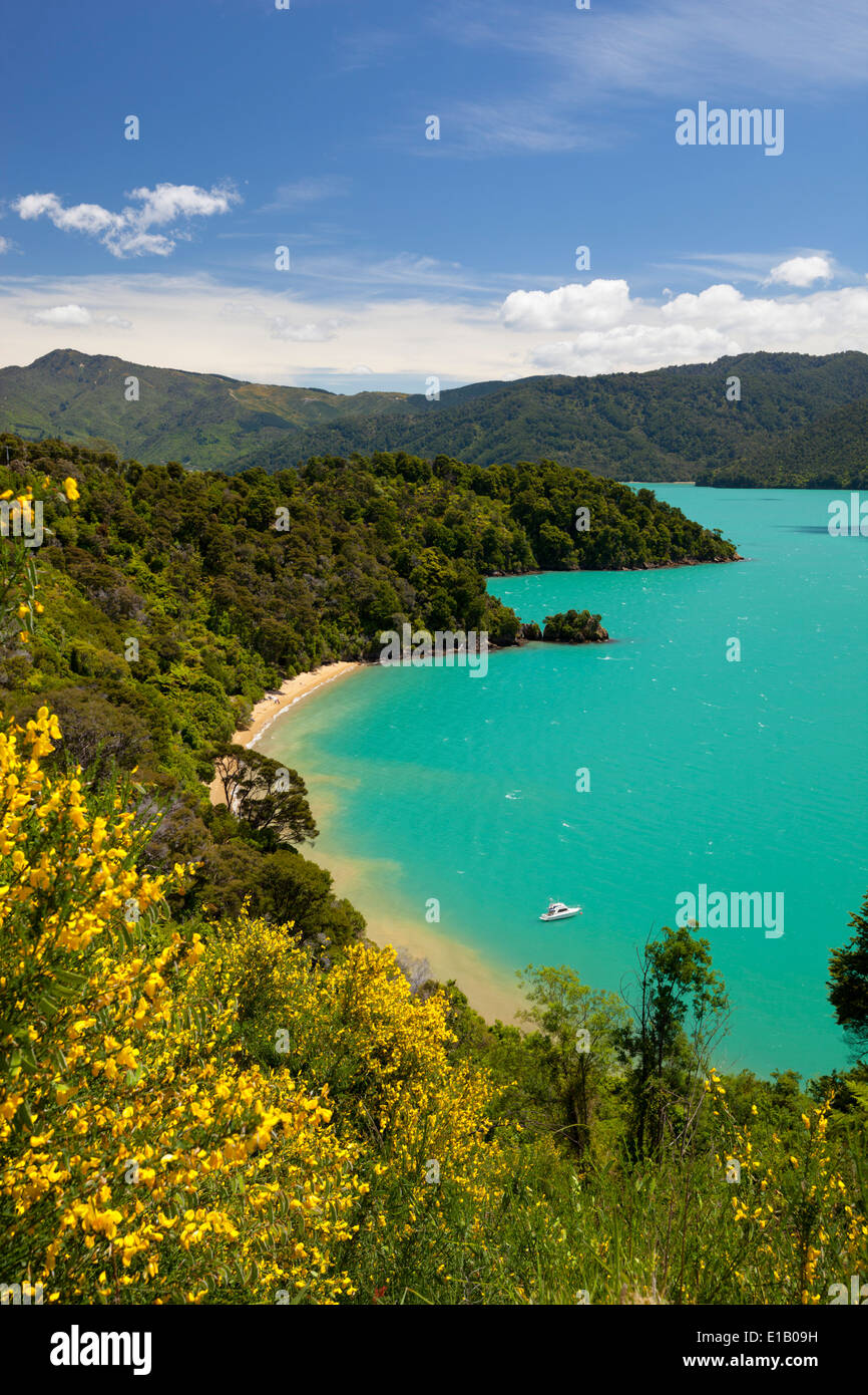 I governatori Bay, Queen Charlotte Sound, vicino a Picton Marlborough regione, Isola del Sud, Nuova Zelanda e Sud Pacifico Foto Stock