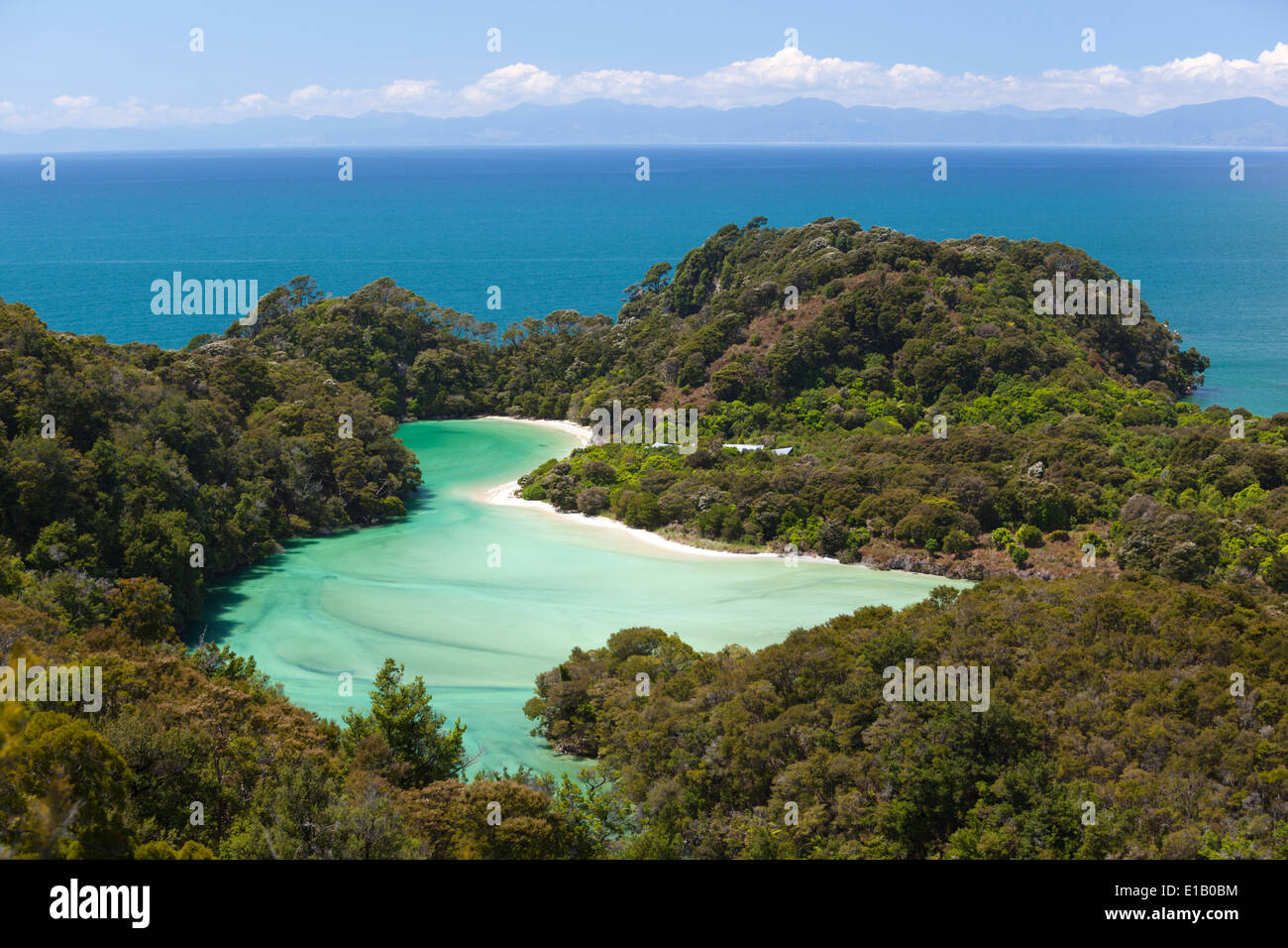 Francese della Bay, il Parco Nazionale Abel Tasman Nelson regione, Isola del Sud, Nuova Zelanda e Sud Pacifico Foto Stock