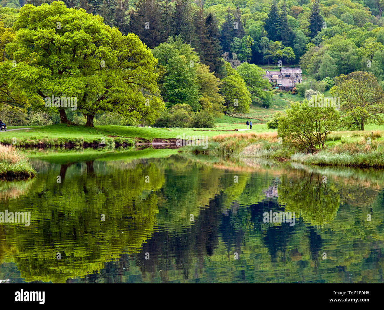 Elterwater e il fiume Brathay nel distretto del lago, Cumbria, Regno Unito Foto Stock