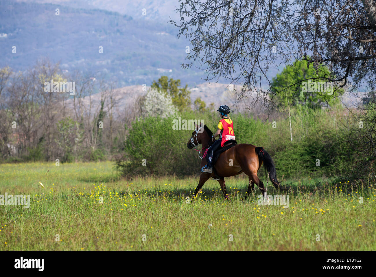 Pilota Endurance durante la gara Foto Stock