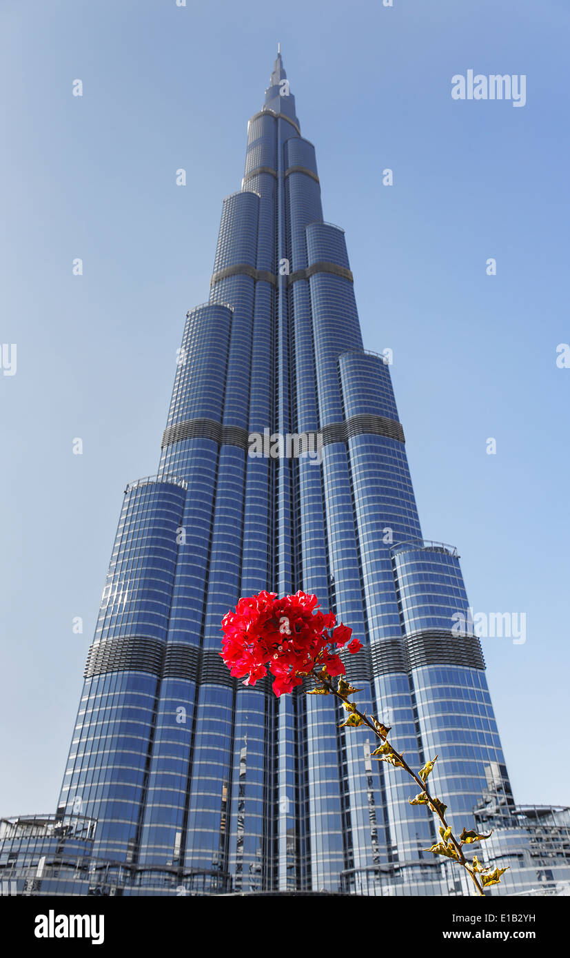DUBAI, UAE-13 novembre: Burj Khalifa - le più alte del mondo torre a Downtown Burj Dubai il 13 novembre 2013 a Dubai, Emirati arabi uniti Foto Stock