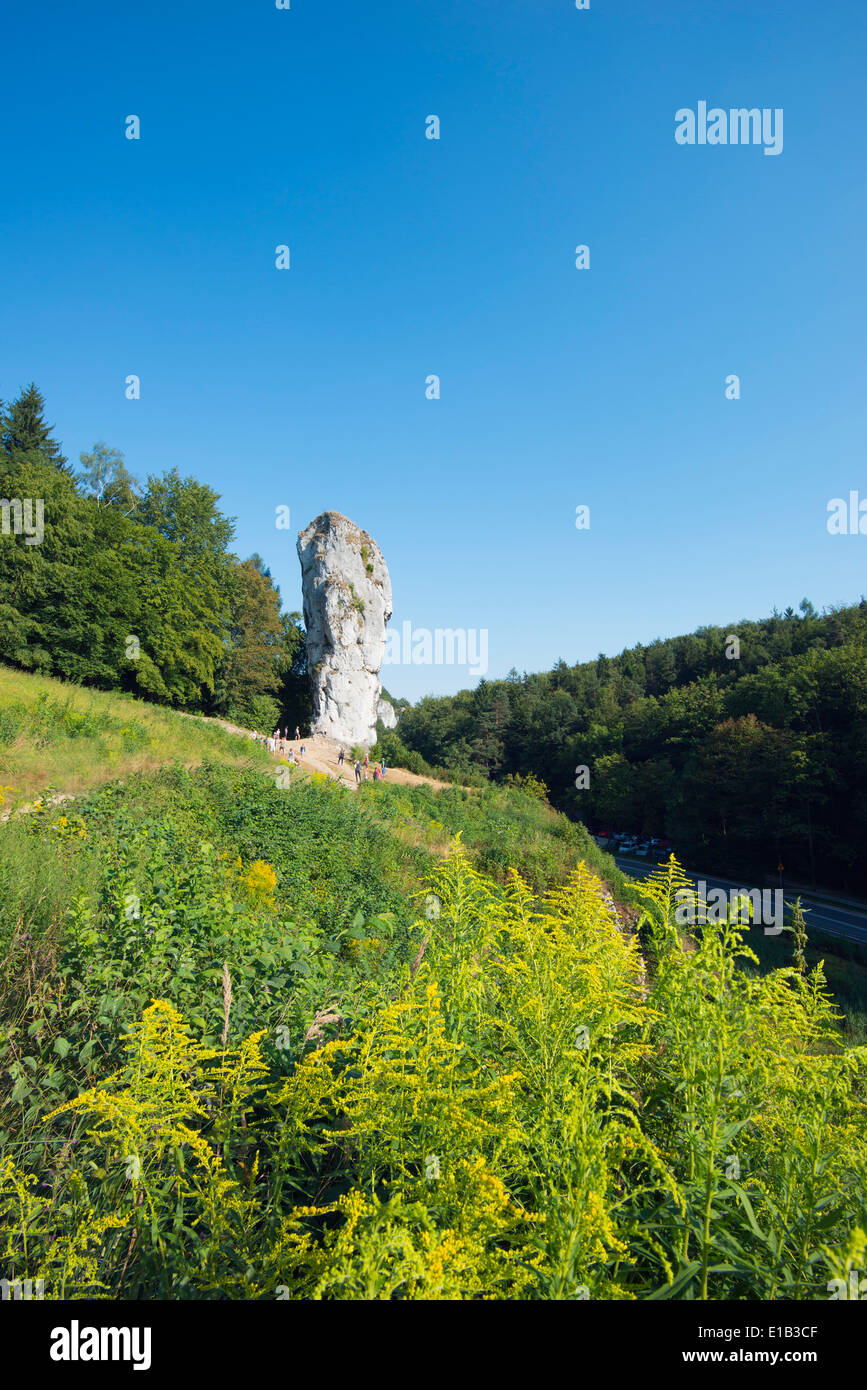 L'Europa, Polonia, Malopolska, Ojcow National Park, Hercules Club, Maczuga Herkulesa, calcare pilastro Foto Stock