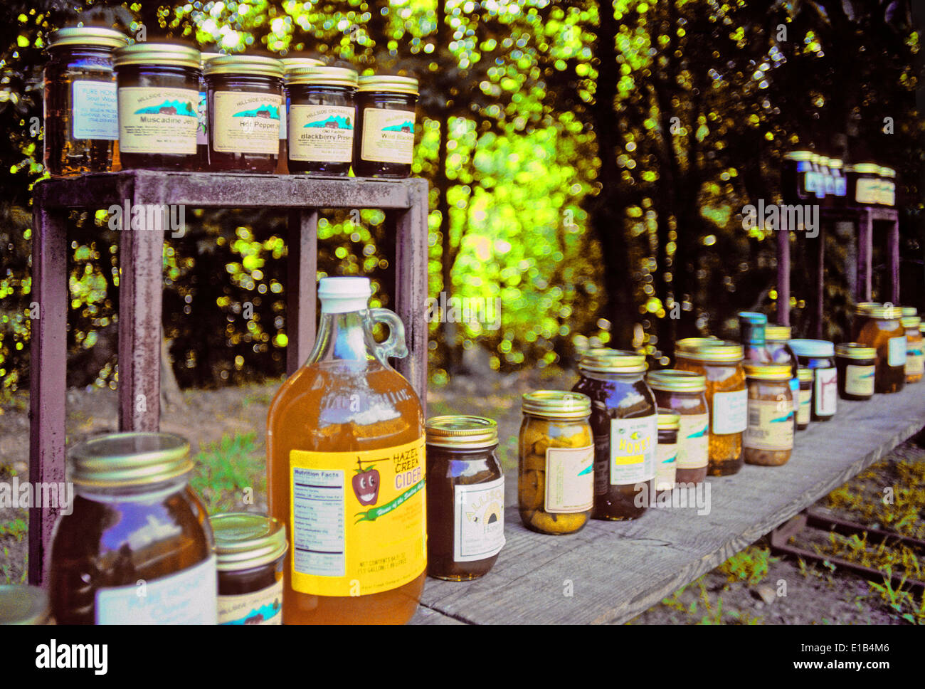 Bottiglie di confetture, gelatine e miele sono schierate per la vendita in una zona rurale della Georgia (USA) cavalletto sul ciglio della strada. Foto Stock