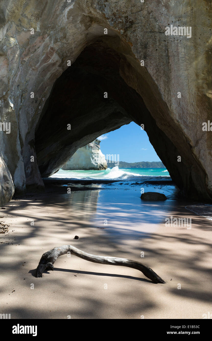 Cattedrale Cove Foto Stock