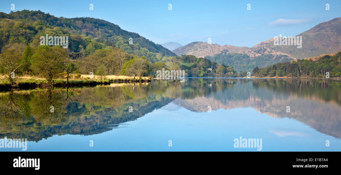 Le riflessioni di Llyn Gwynant un lago nella valle di Nantgwynant nel cuore del Parco Nazionale di Snowdonia Gwynedd North Wales, Regno Unito Foto Stock