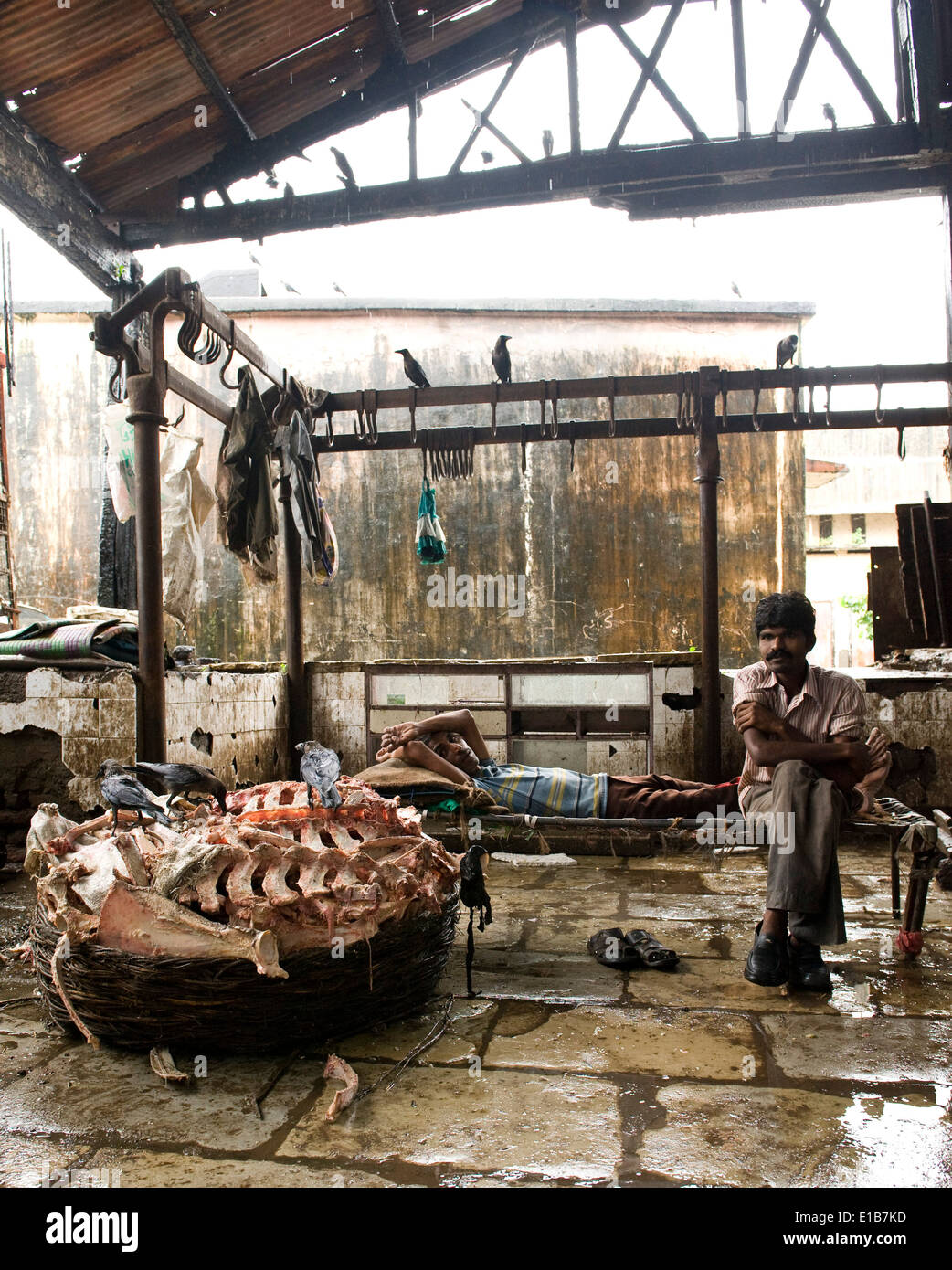 "Fatti a mano ' tritare . Le scene al mercato della carne uno enorme macelleria , Crawford Mkt , Mumbai sud Foto Stock