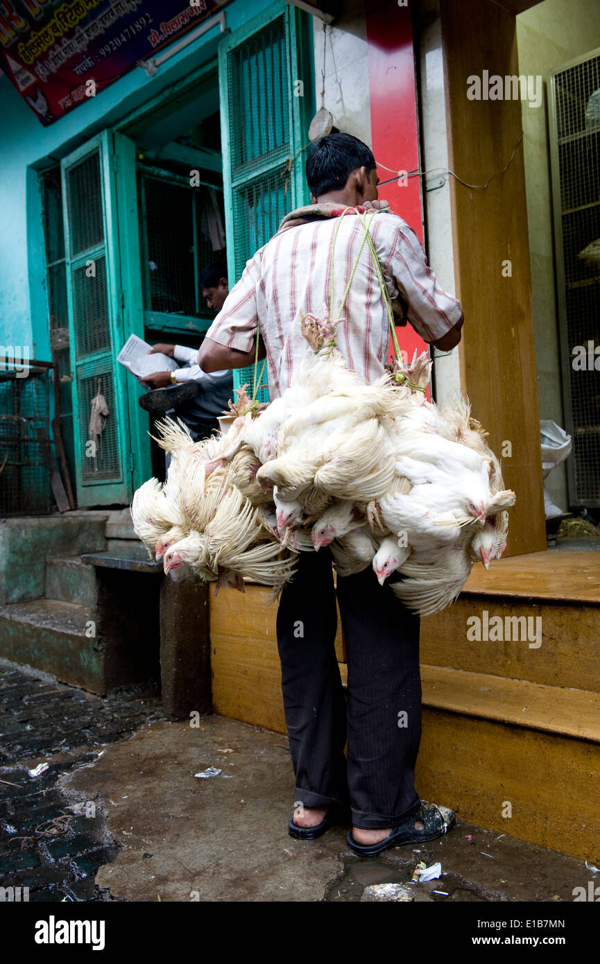 I polli vivi portato alla macellazione, Crawford Mkt , Mumbai sud Foto Stock