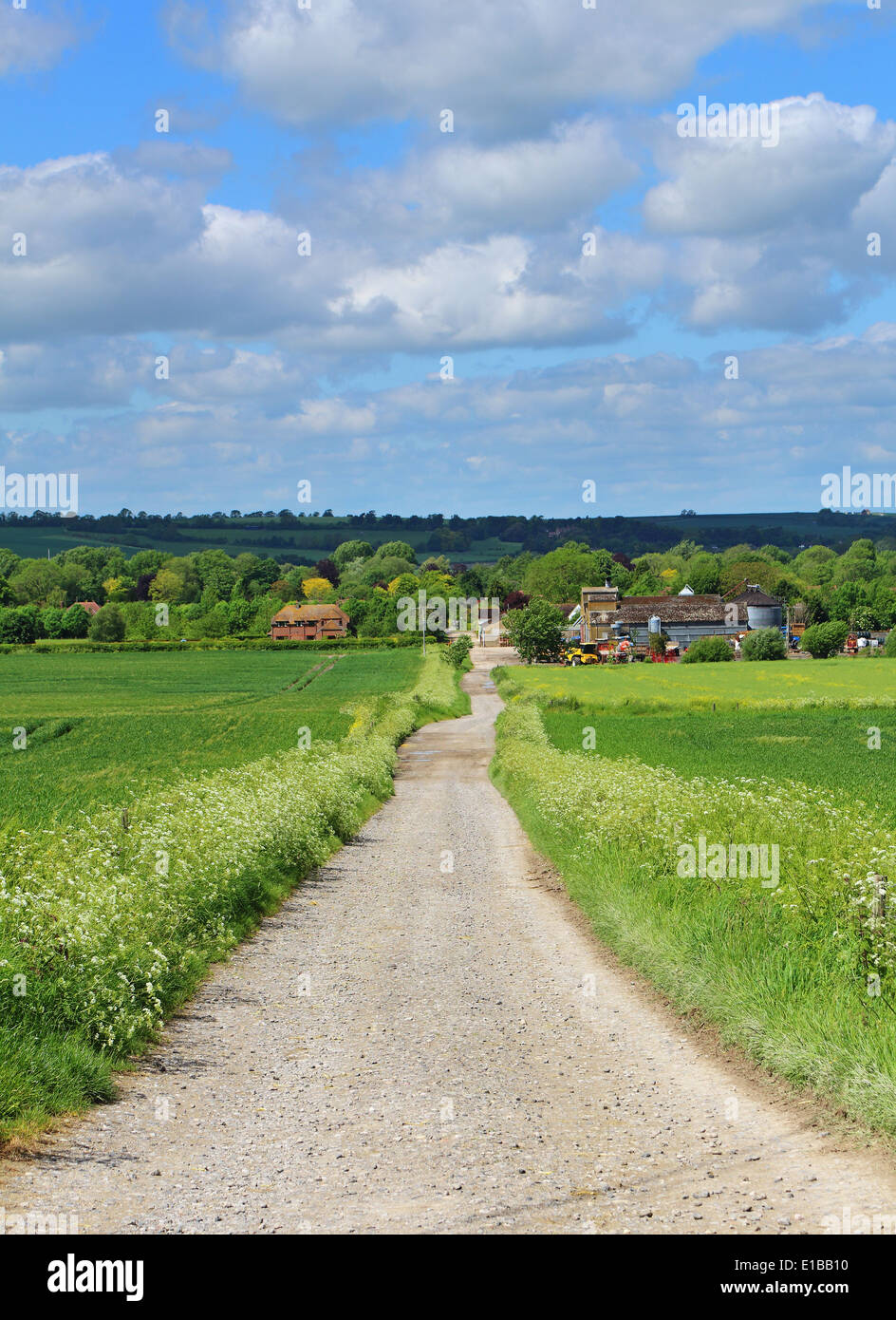 Un inglese un paesaggio rurale con la via che conduce a una fattoria Foto Stock