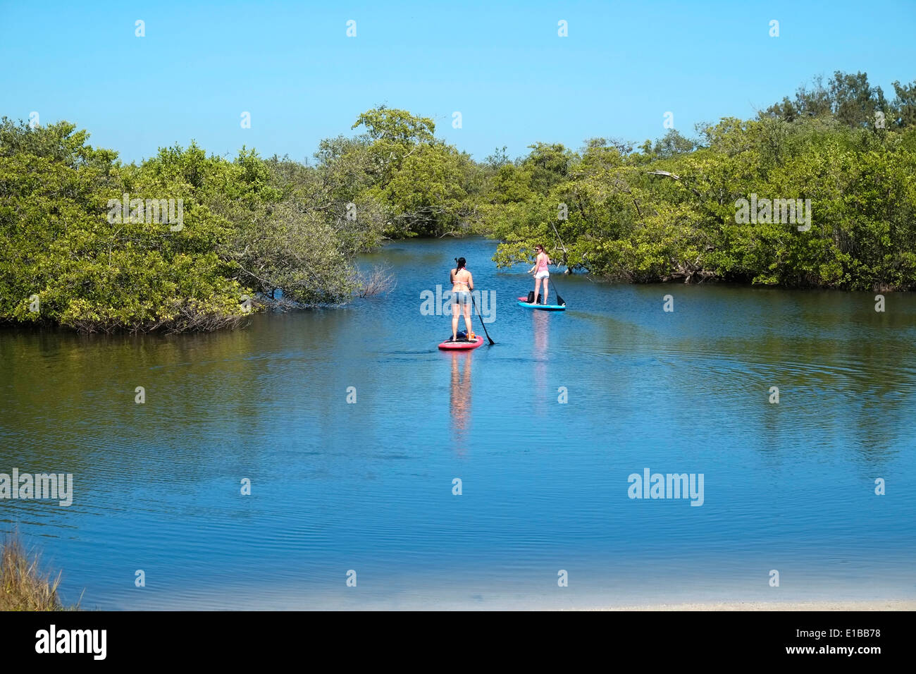 Robinson preservare Manatee County Bradenton Florida, FL Foto Stock