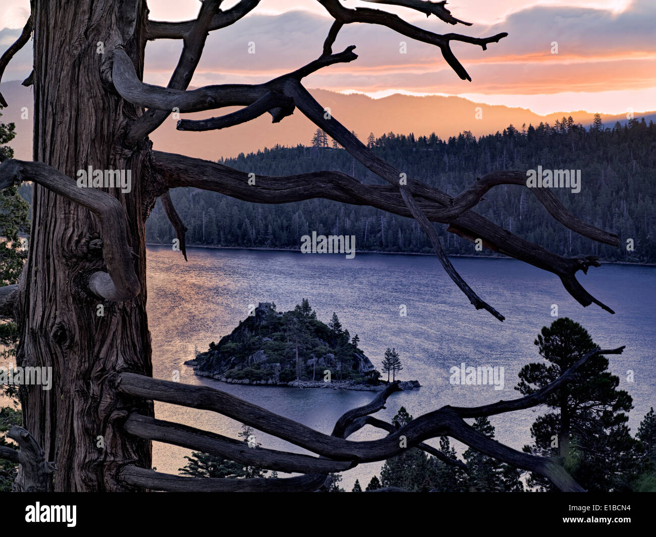 Alba sul Emerald Bay con albero morto e Fannette Island, il lago Tahoe, California. Foto Stock