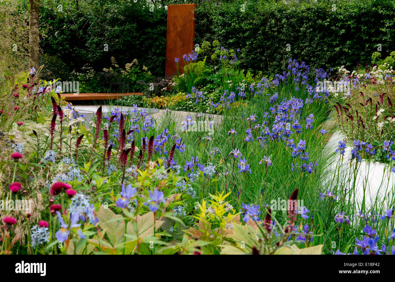 RBC paesaggi acquatici giardino una medaglia d'Oro disegnato da Hugo Bugg al Chelsea Flower Show 2014, London, Regno Unito Foto Stock