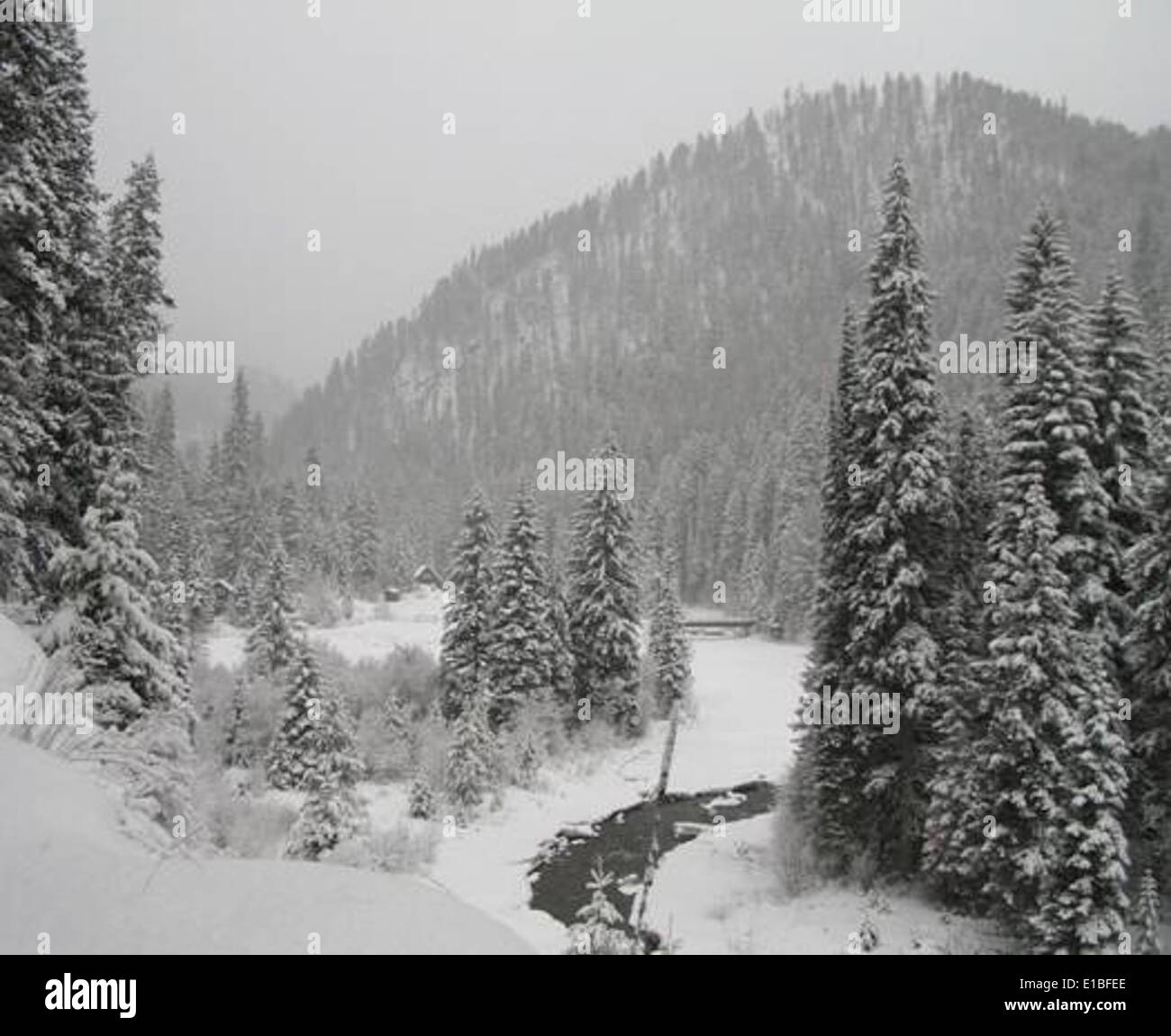 Impostazione dello Snowy Foto Stock