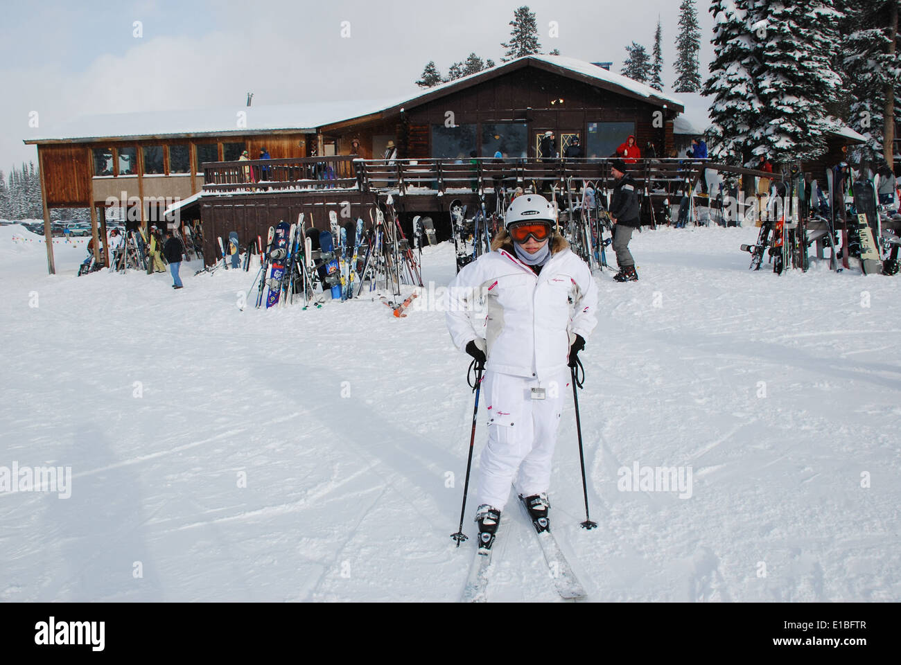 Una fotografia di un gufo dalle orecchie corte catturato al Yukon Delta National Wildlife Refuge durante un'indagine del 13 maggio 2013. L'immagine evidenzia la presenza del gufo nell'ecosistema boreale dell'Alaska. Foto Stock
