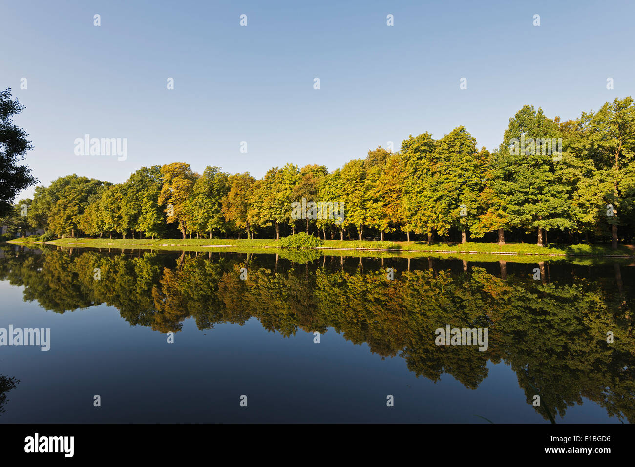 Europa, Polonia Varsavia, Lazienki Park Foto Stock