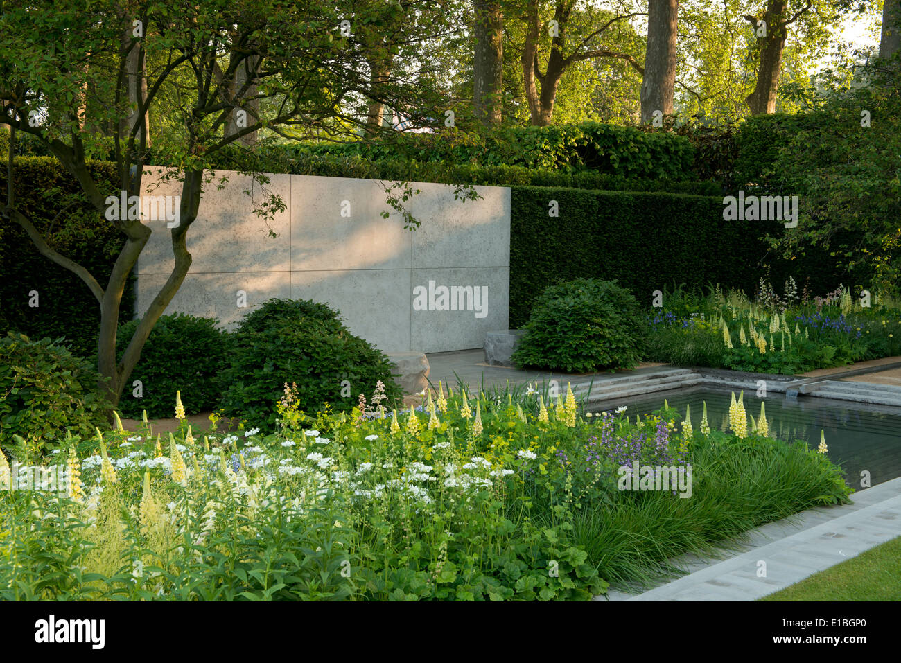Il giardino Laurent-Perrier, miglior spettacolo giardino vincitore al Chelsea Flower Show 2014, London, Regno Unito Foto Stock