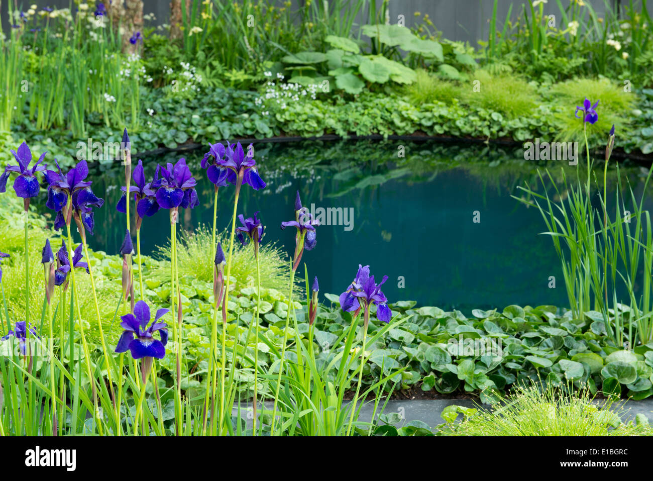 La terra di nessuno: ABF del soldato Giardino di beneficenza al Chelsea Flower Show 2014 Foto Stock