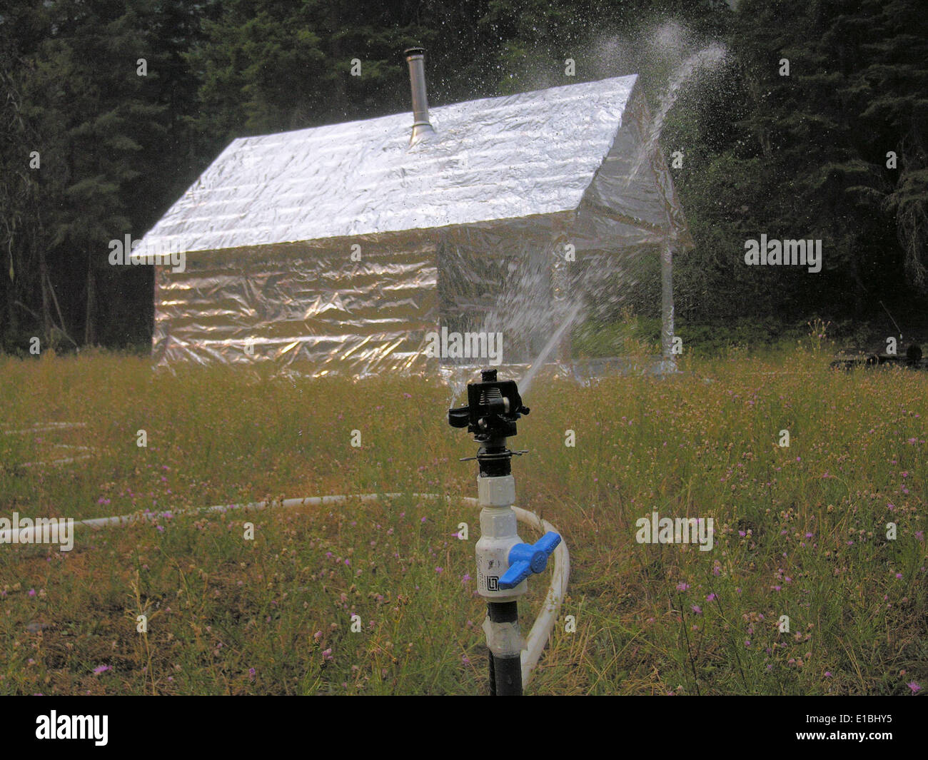 Uno sforzo di prevenzione degli incendi per proteggere una cabina remota dai danni causati da incendi. Questa misura di sicurezza è un aspetto fondamentale della gestione forestale nelle aree soggette a incendi, al fine di ridurre i rischi per le strutture e la fauna selvatica. Foto Stock