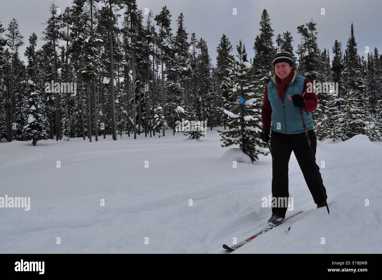 Gli sciatori apprezzano le piste del Chief Joseph Pass nel febbraio 2011. Situato nelle Bitterroot Mountains del Montana, questo passo è una destinazione popolare per gli appassionati di sport invernali, che offre terreni innevati e una vasta gamma di attività all'aperto. Il Chief Joseph Pass è un'importante porta d'accesso alle foreste nazionali circostanti. Foto Stock