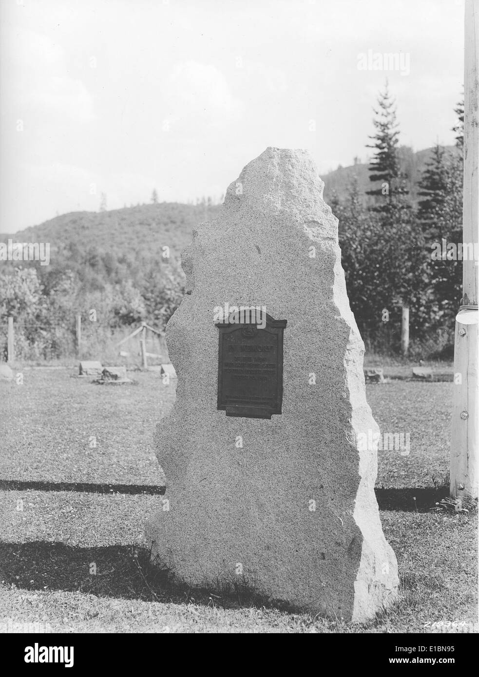 Il titolo "99-021411" si riferisce a un numero di identificazione interno del progetto o della ricerca. Ulteriori dettagli sarebbero disponibili in una banca dati specifica o in una relazione che fa riferimento a questo numero. Foto Stock