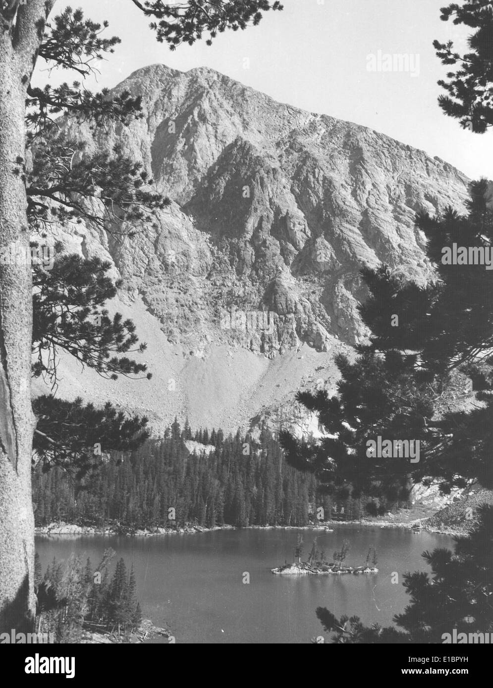 Questa fotografia storica raffigura un primo momento nella storia degli sforzi di conservazione. Fa parte di una raccolta che raccoglie importanti pietre miliari nella conservazione e nella gestione delle risorse naturali. Foto Stock