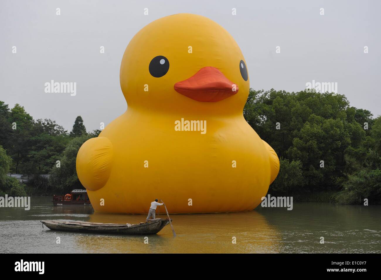 Hangzhou (Cina). Il 30 maggio 2014. Un gigante di gomma gonfiabile Duck progettato dall'olandese artista concettuale Florentijn Hofman è in mostra presso il National Xixi Wetland Park il 29 maggio 2014 in Hangzhou, nella provincia di Zhejiang della Cina. Olandese artista concettuale Florentijin Hofman's gomma gonfiabile Duck inizia un nuovo tour in Cina di nuovo. Sarà esposta in nove città terraferma in Cina a partire dal 1 Giugno in Hangzhou per un mese e si prende il largo a Qingdao allora. Credito: dpa picture alliance/Alamy Live News Foto Stock