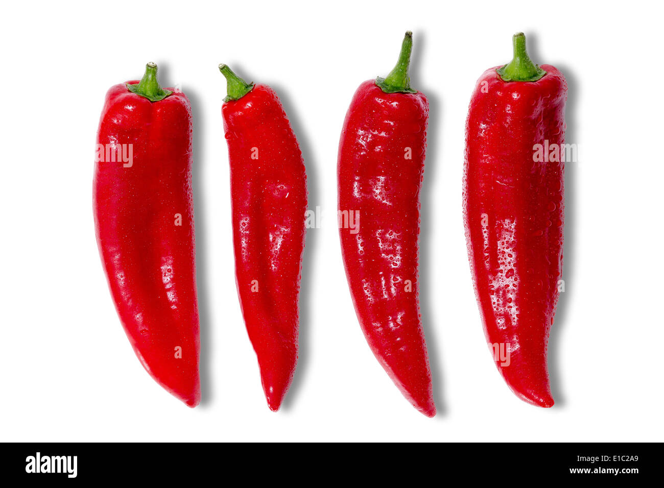Quattro intere fresche red hot chili peppers per un piccante ingrediente di cottura coperto di piccole goccioline di acqua disposti in linea Foto Stock