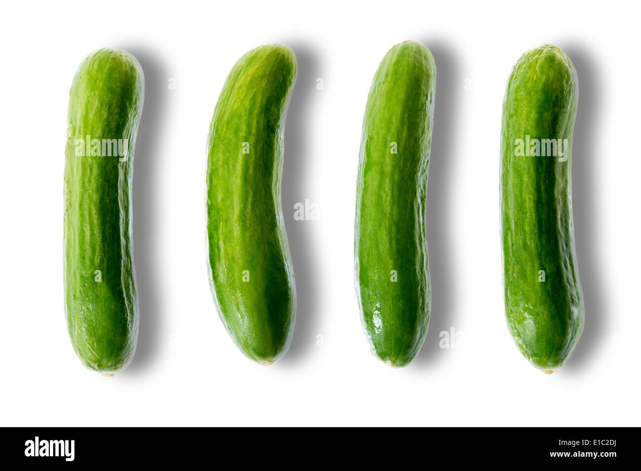 Freschi e deliziosi verde intero mini cetrioli pronto per essere consumato disposti in una fila con ombre laterali su sfondo bianco Foto Stock