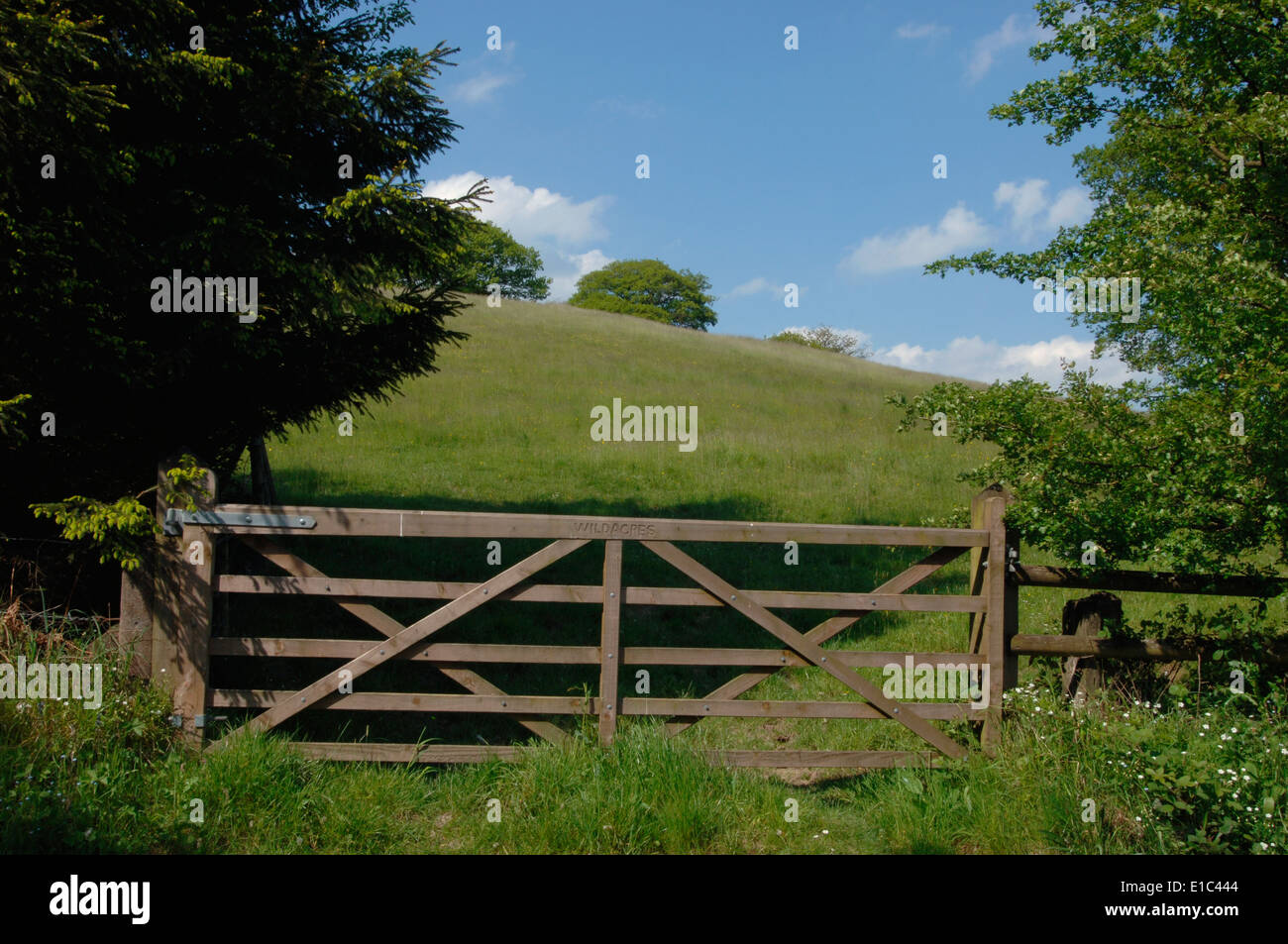 Una fattoria in legno Gate. Foto Stock