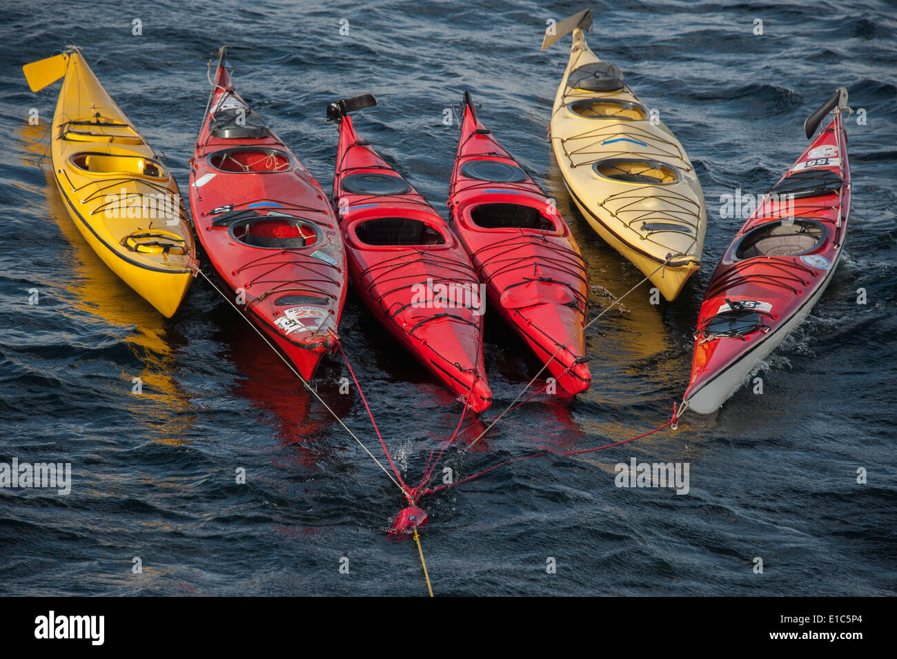 Kayak da mare ormeggiata su un lungo la cima di ormeggio, galleggiante sulla superficie dell'acqua. Foto Stock