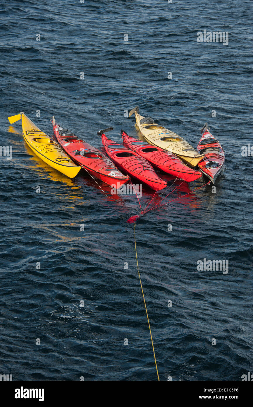 Kayak da mare ormeggiata su un lungo la cima di ormeggio, galleggiante sulla superficie dell'acqua. Foto Stock