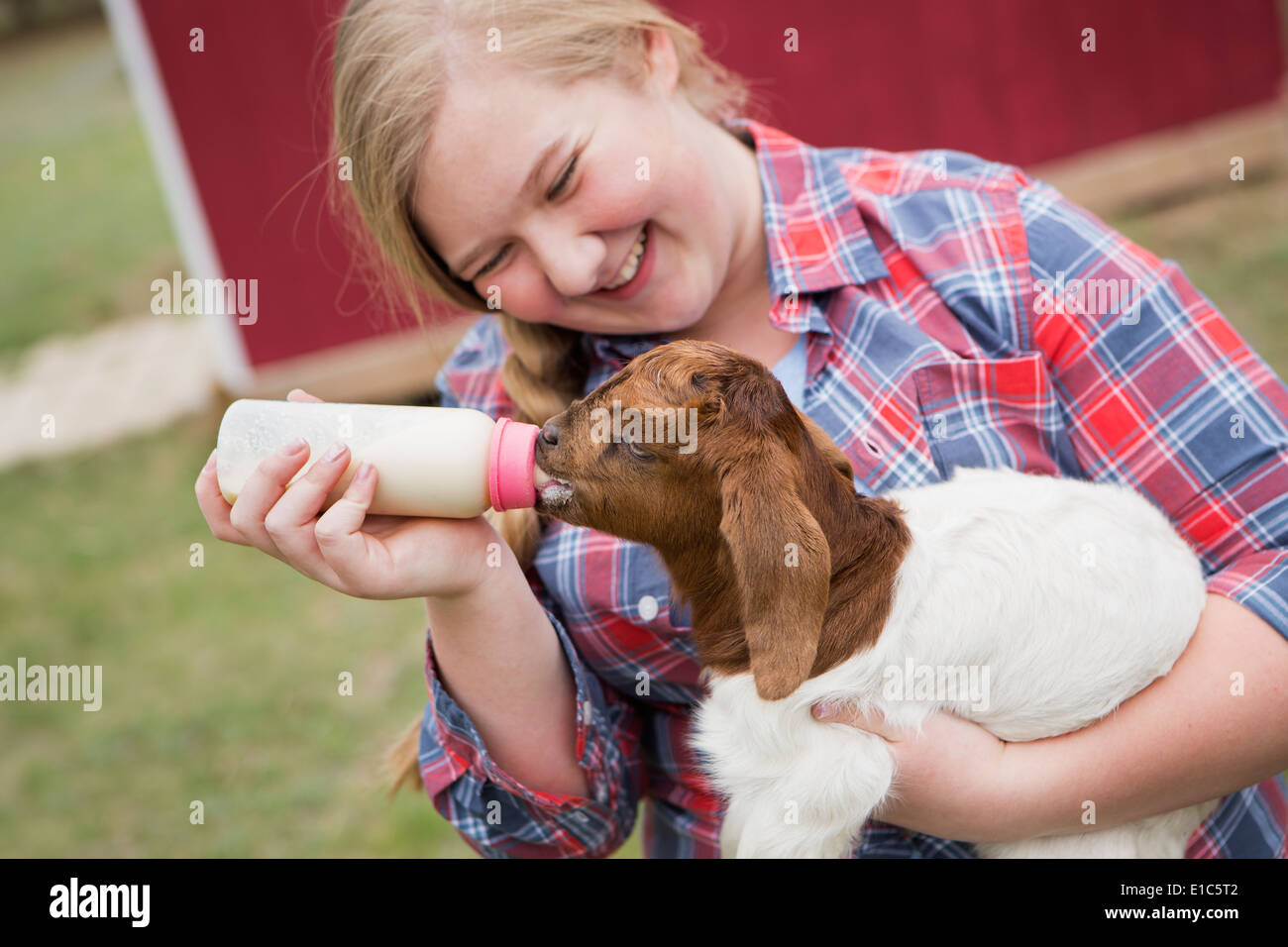 Una ragazza bottiglia di alimentazione di un bambino di capra. Foto Stock