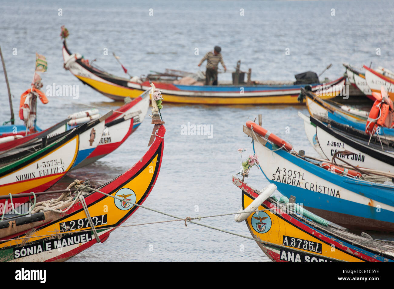 Moliceiros tradizionali barche da pesca con alta prows, dipinte in colori vivaci, ormeggiata offshore Torreira a. Foto Stock