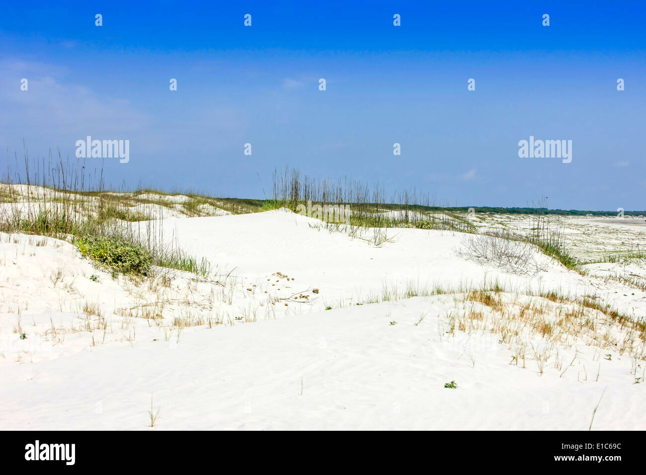 Le dune di sabbia sulla punta meridionale di Cumberland Island GA Foto Stock