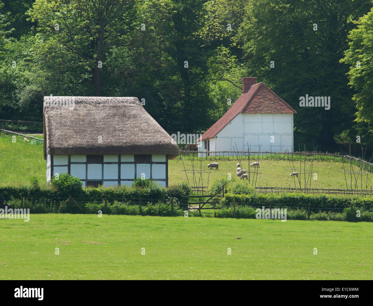 Il Weald & Downland Open Air Museum vicino a singleton in West Sussex Foto Stock