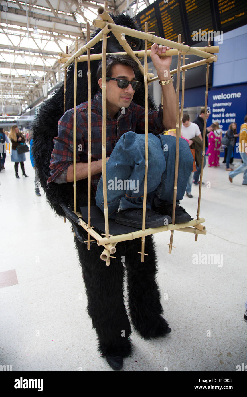 L uomo vestito in un pazzo costume gorillla presso la stazione di Waterloo sul modo per il torneo internazionale di Rugby a sette. Londra, Regno Unito. Foto Stock