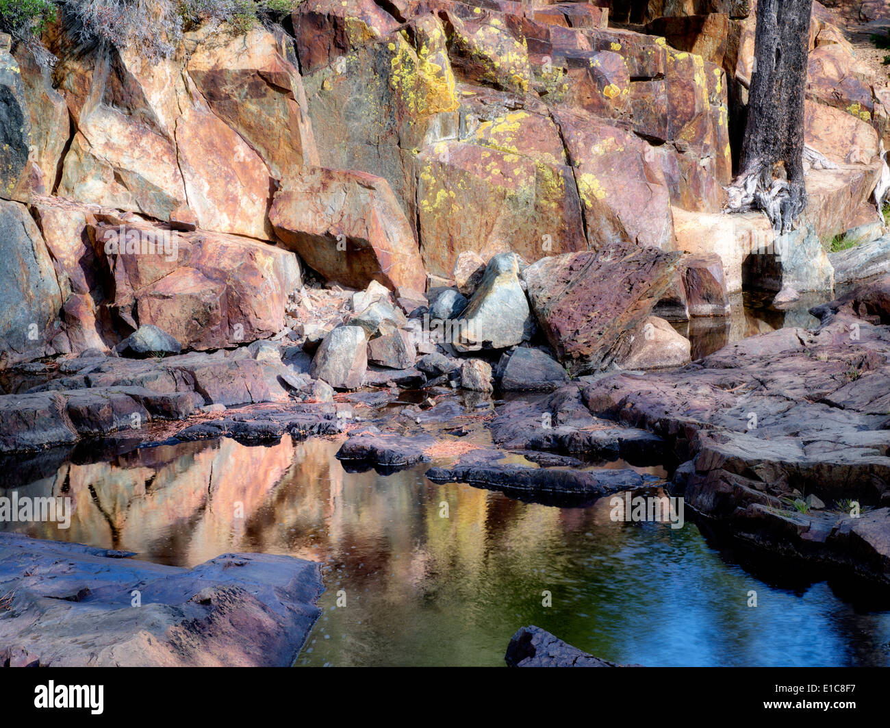 Piscina di acqua con il lichen coperto le rocce su Glen Alpine Creek. Caduto vicino Lago di foglia, California Foto Stock