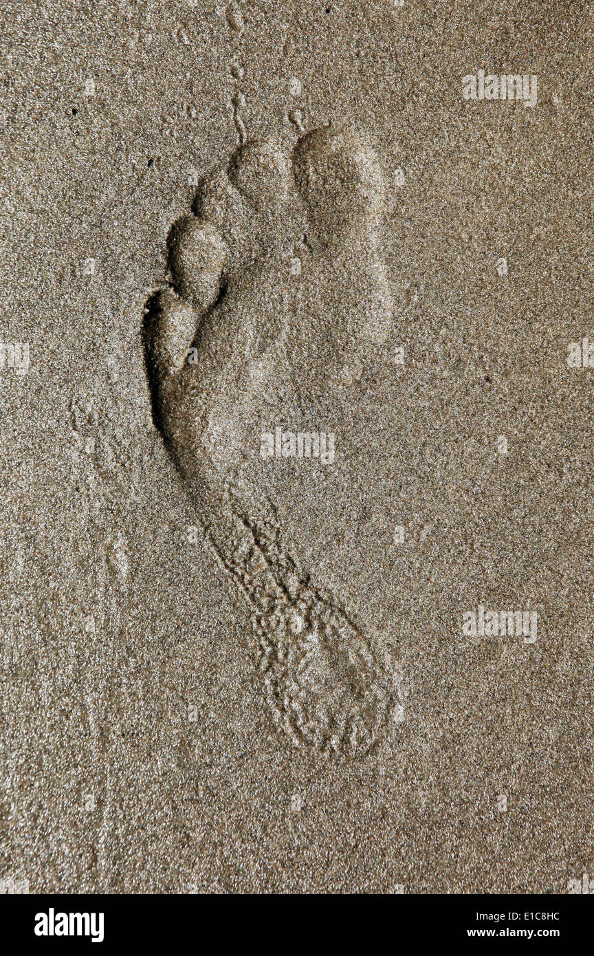 Si tratta di una foto di una impronta del piede sul pavimento il modulo visualizza la parte superiore o la vista dall'alto. Si tratta di un grande piede sinistro forma sulla sabbia bagnata Foto Stock