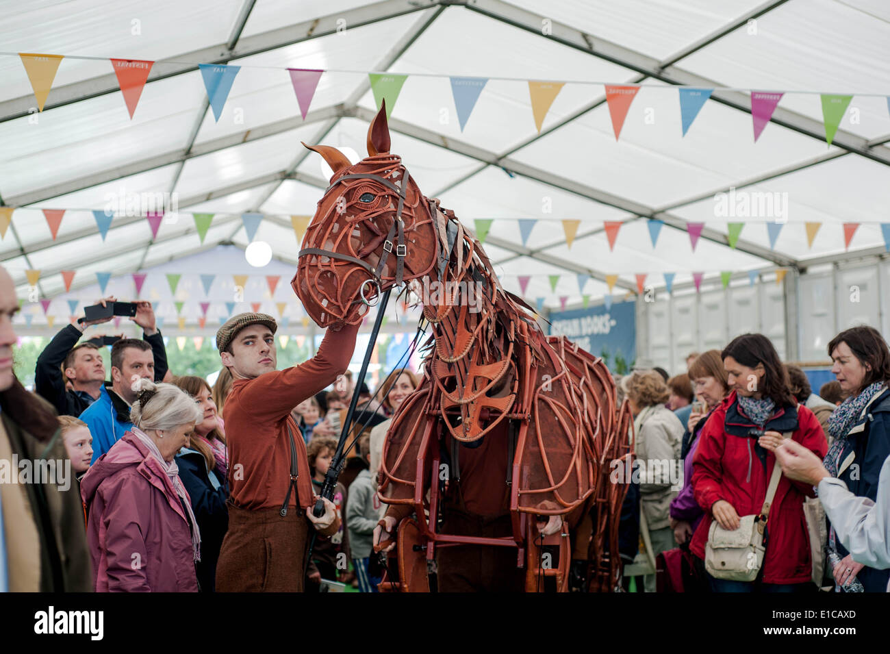 Hay on Wye, Regno Unito. Il 30 maggio 2014. Nella foto: War Horse da hit internazionale play basato su Michael Morpurgo del romanzo. Un ife-dimensionato marionetta cavallo è portato alla vita presso il festival di fieno Re: Il Festival di fieno, Hay on Wye, Powys, Wales UK. Credito: D Legakis/Alamy Live News Foto Stock