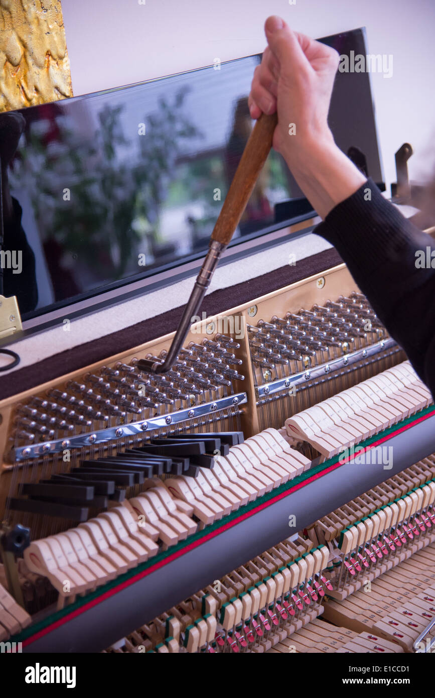 Tuner sul lavoro con cricchetto sul pianoforte Foto Stock