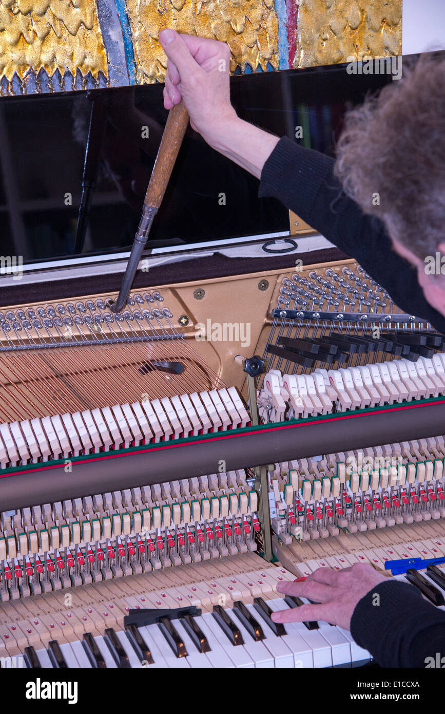 Un sintonizzatore a lavorare con un pianoforte Foto Stock