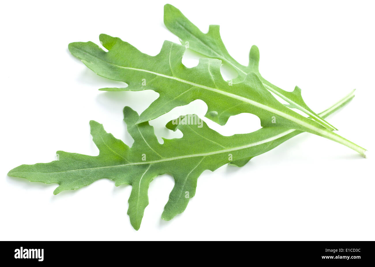 Verde foglie di rucola isolato su uno sfondo bianco. Foto Stock