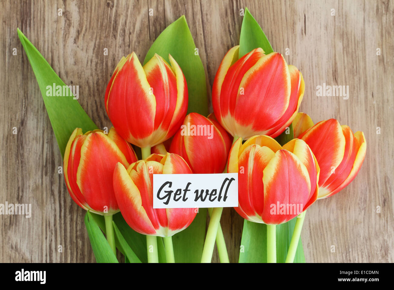 Get Well card con rosso e tulipani gialli Foto Stock