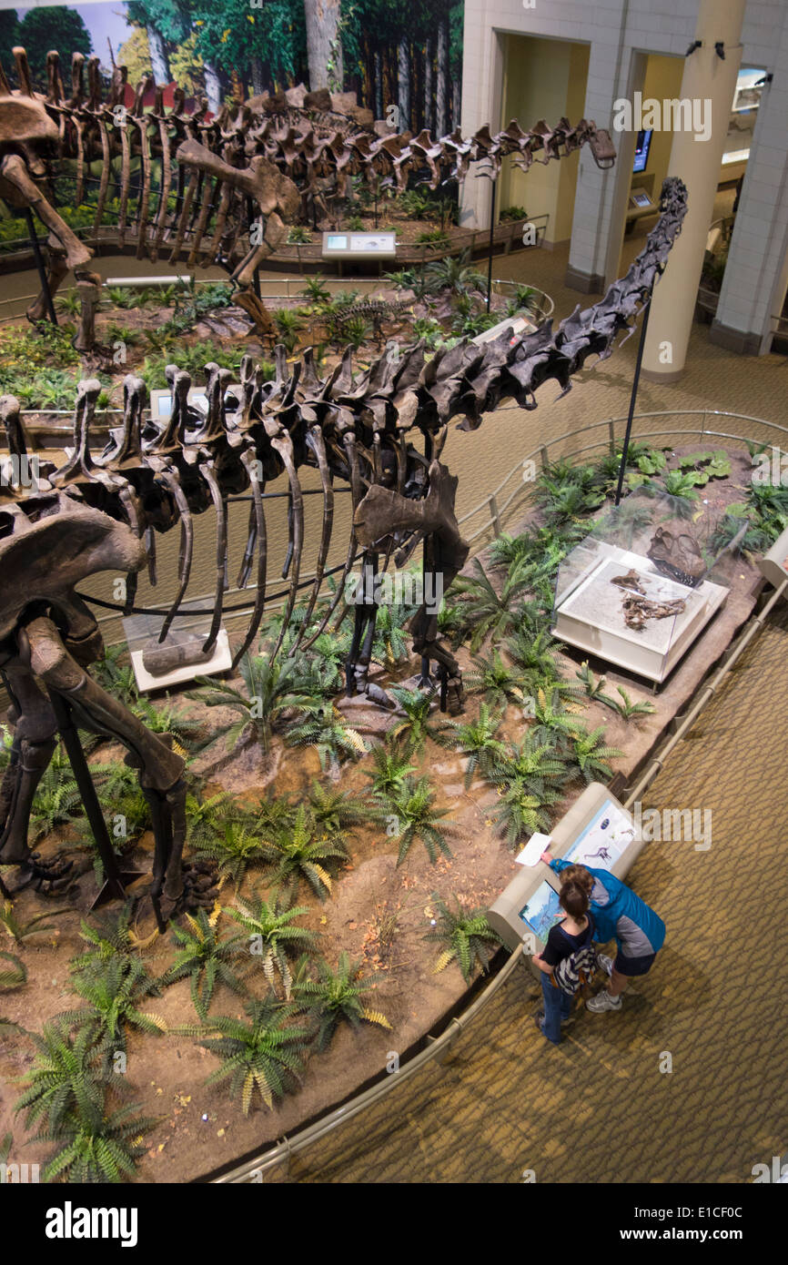 Carnegie Museum di storia naturale di Pittsburgh PA Foto Stock