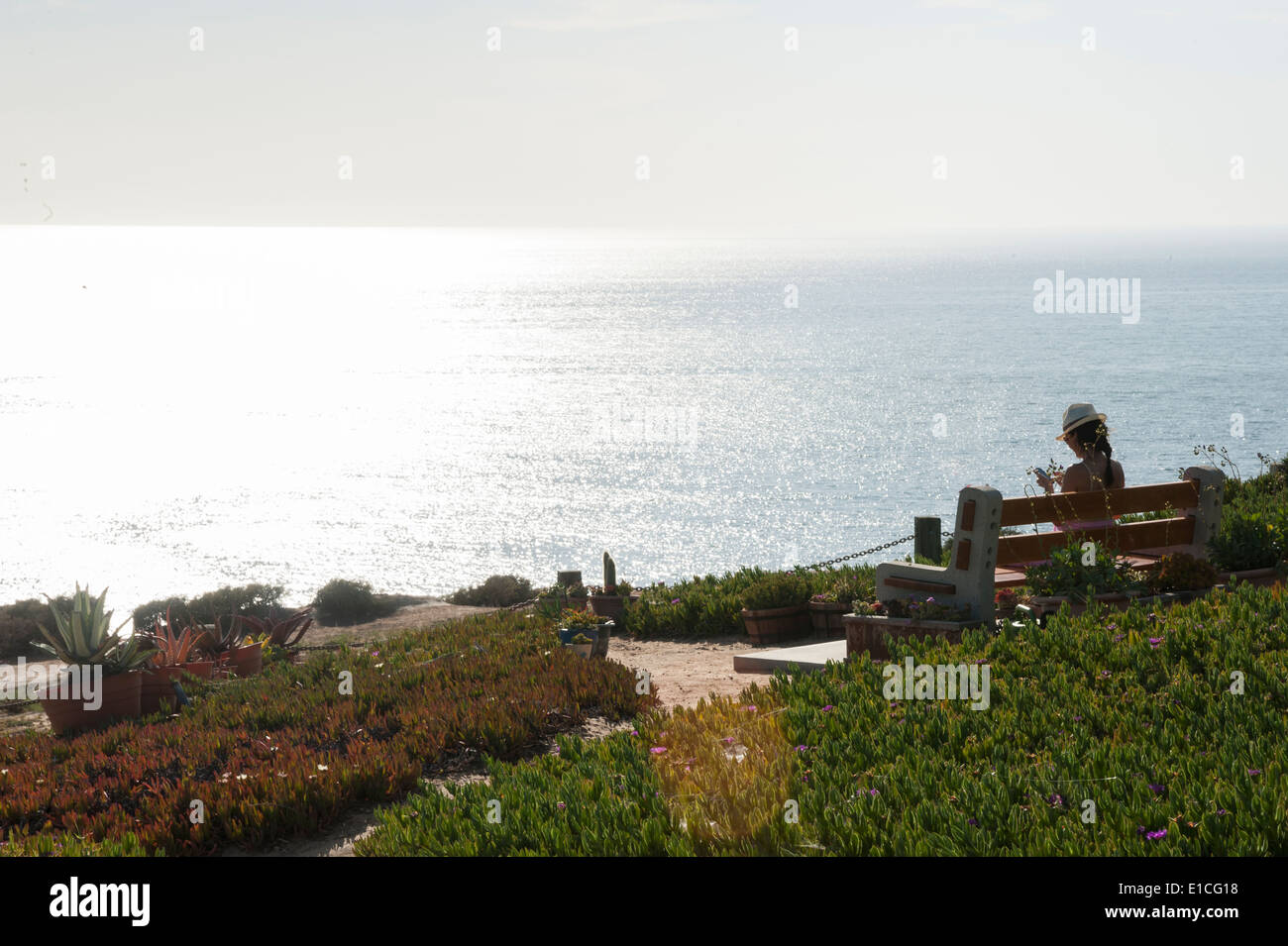 Scogliere di Black Beach, La Jolla, CA Foto Stock
