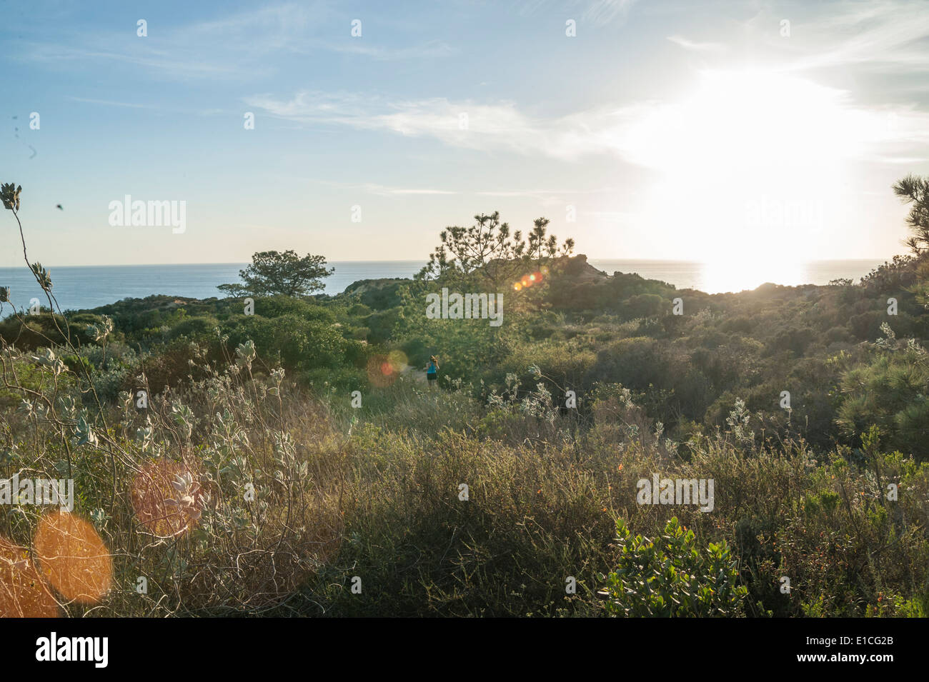 Scogliere e tramonto sull'Oceano Pacifico a Torrey Pines State Park, La Jolla California Foto Stock