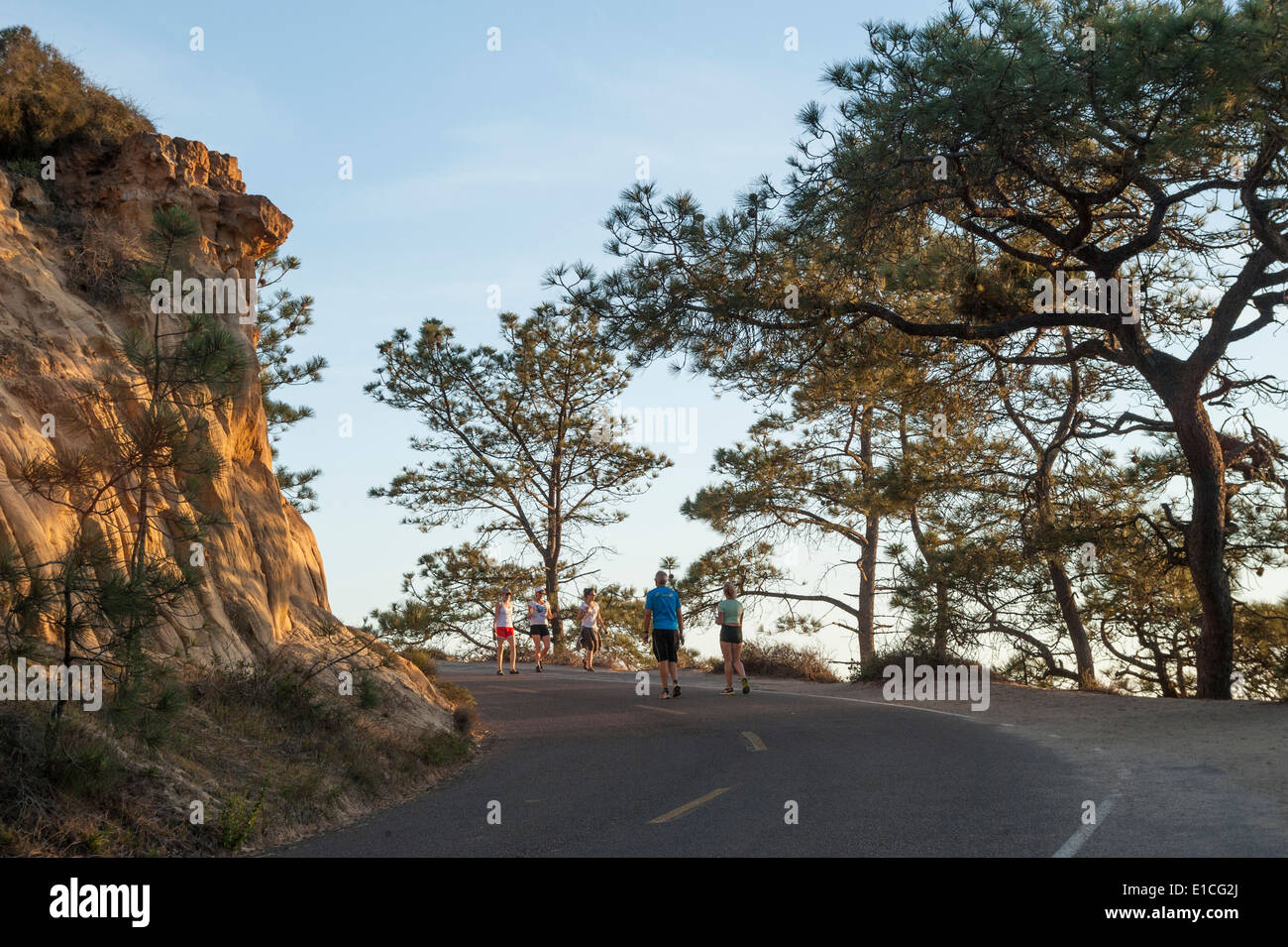 I visitatori a piedi strada panoramica a Torrey Pines State Park, La Jolla California Foto Stock