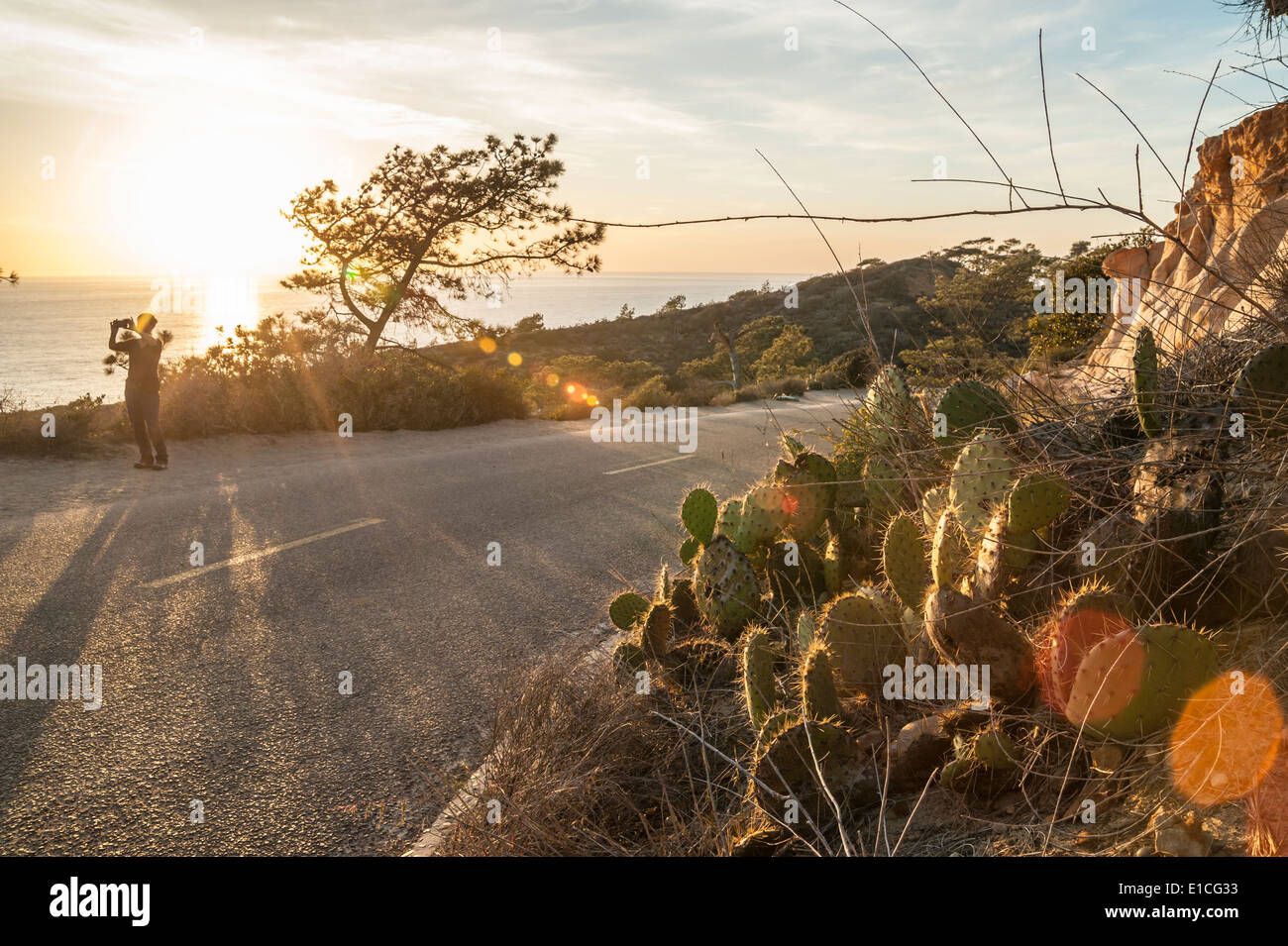 Scogliere e tramonto sull'Oceano Pacifico a Torrey Pines State Park, La Jolla California Foto Stock