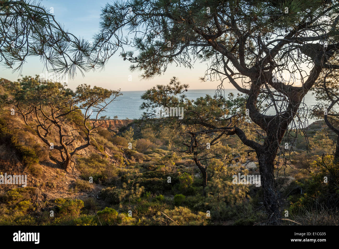 Scogliere e tramonto sull'Oceano Pacifico a Torrey Pines State Park, La Jolla California Foto Stock