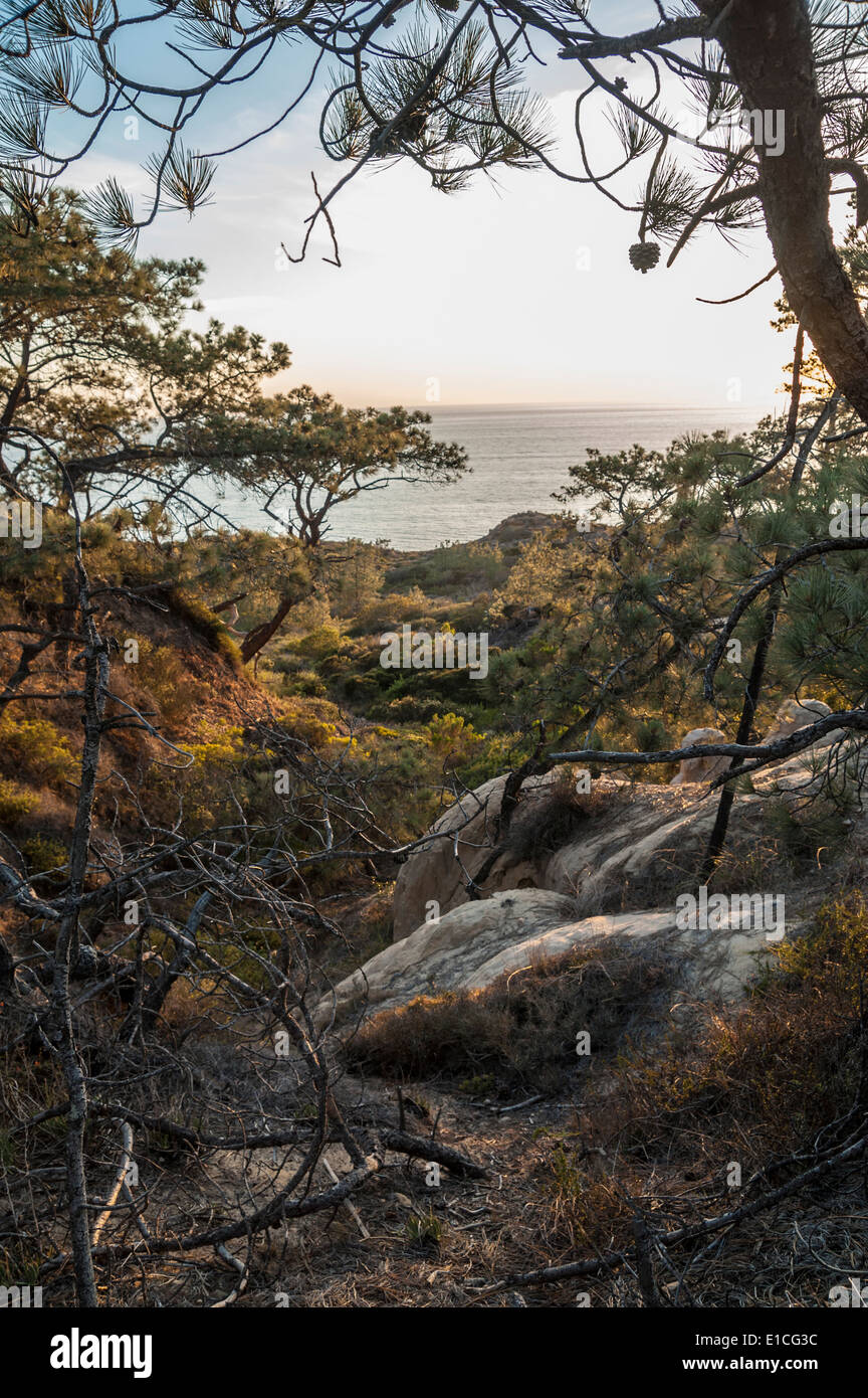Scogliere e tramonto sull'Oceano Pacifico a Torrey Pines State Park, La Jolla California Foto Stock
